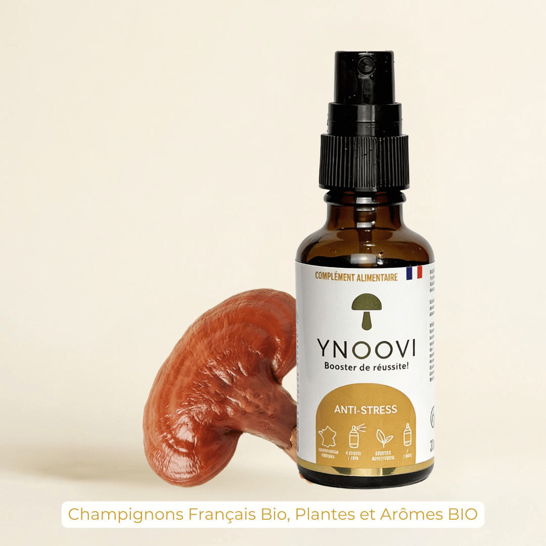 Spray Sérénité & Équilibre — Champignons Adaptogènes BIO | YNOOVI