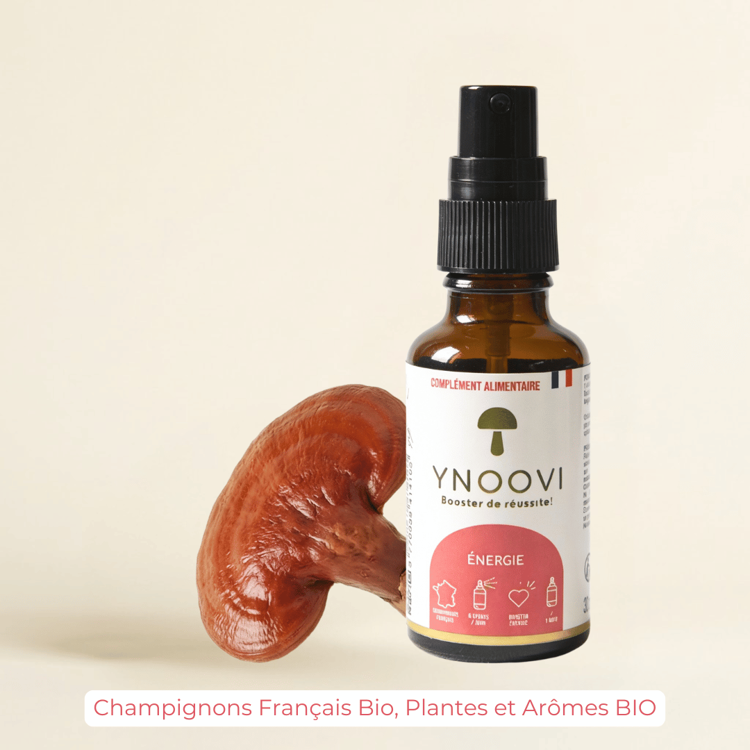 Spray Énergie & Endurance — Champignons Adaptogènes BIO | YNOOVI