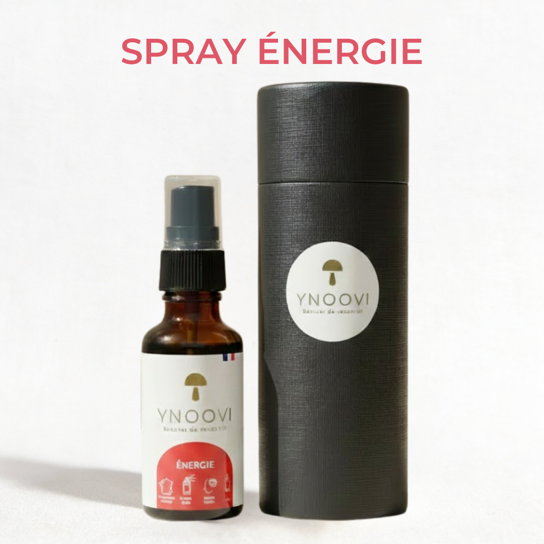 -10% | 2 Sprays Champignons BIO Français : Mémoire, Concentration, Énergie, Tonus