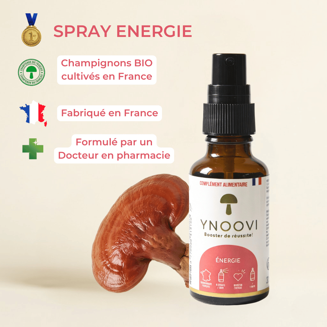 Spray Énergie & Endurance — Champignons Adaptogènes BIO | YNOOVI