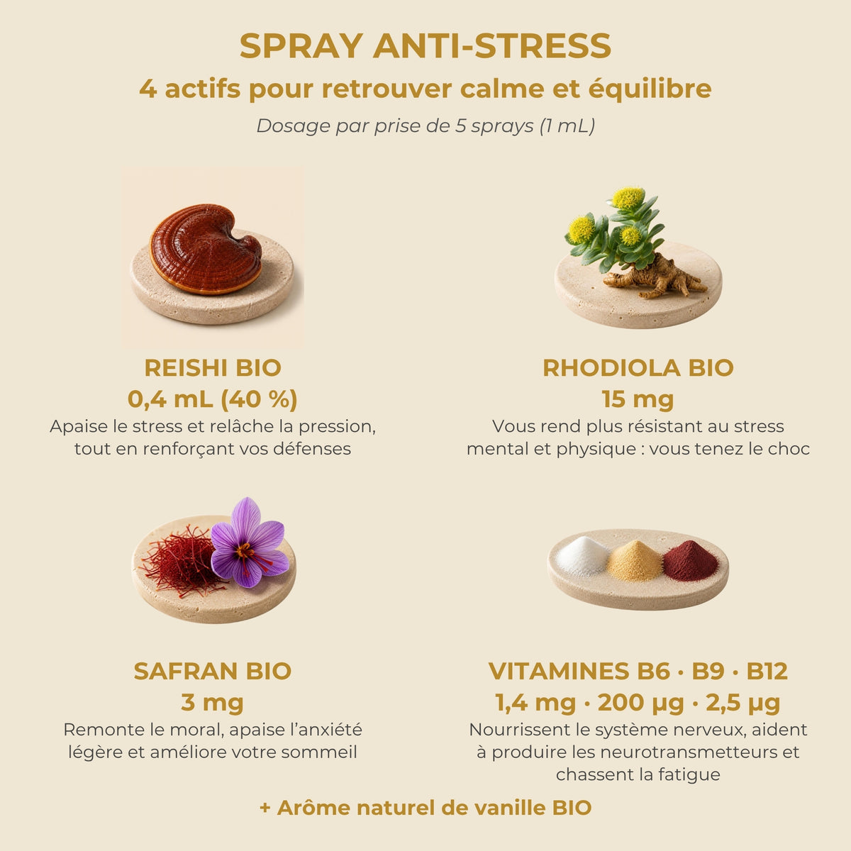 Actifs et dosage du spray Anti-stress YNOOVI : Reishi bio, rhodiola bio, safran bio, vitamines B6, B9, B12