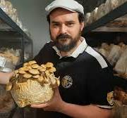 🍄 L'Excellence du Terroir Français : Nos Champignons Adaptogènes Bio