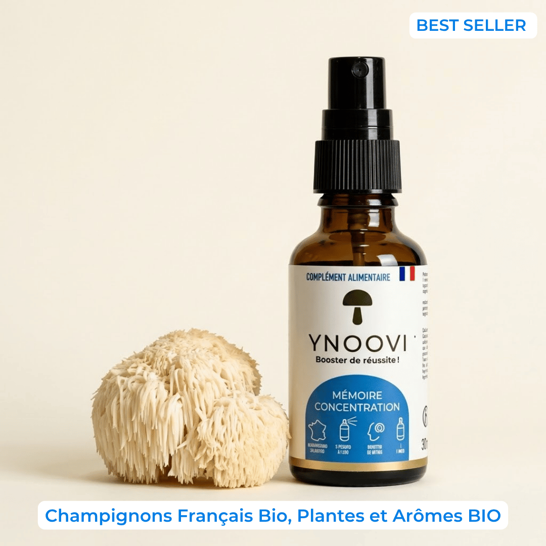 Spray Mémoire & Concentration — Champignons Adaptogènes BIO | YNOOVI