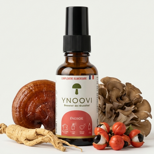 Spray Énergie : Vitalité & Tonus (Champignons Bio : Reishi, Maitake) - YNOOVI
