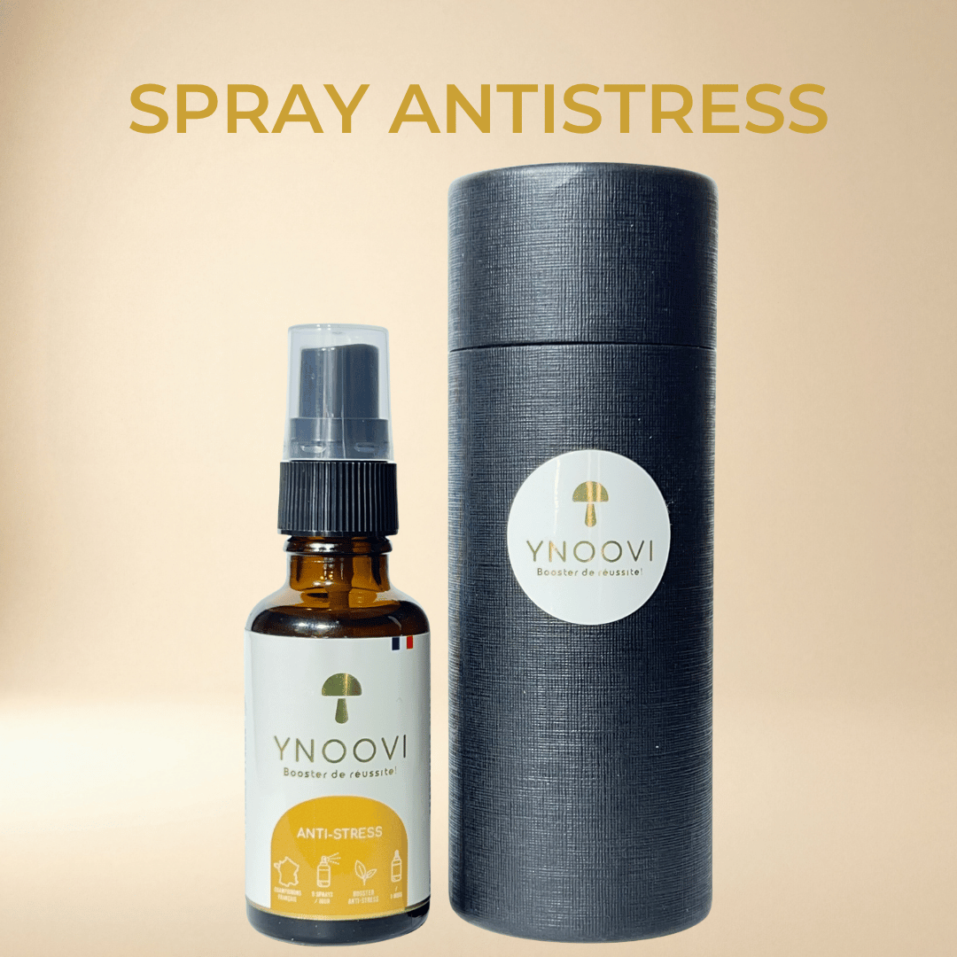 Pack Optimum — Bien-être Global Jour & Nuit | YNOOVI