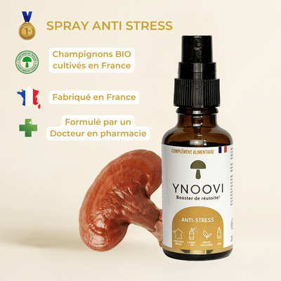 Spray Sérénité & Équilibre — Champignons Adaptogènes BIO | YNOOVI
