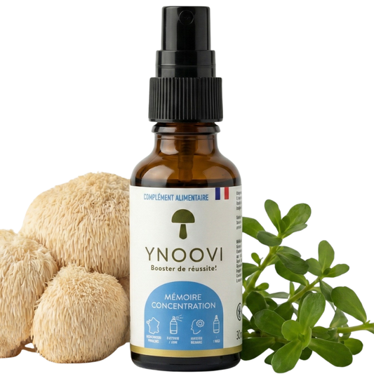Spray Mémoire : Focus & Concentration (Lion's Mane et Bacopa Bio, L-Théanine) - YNOOVI