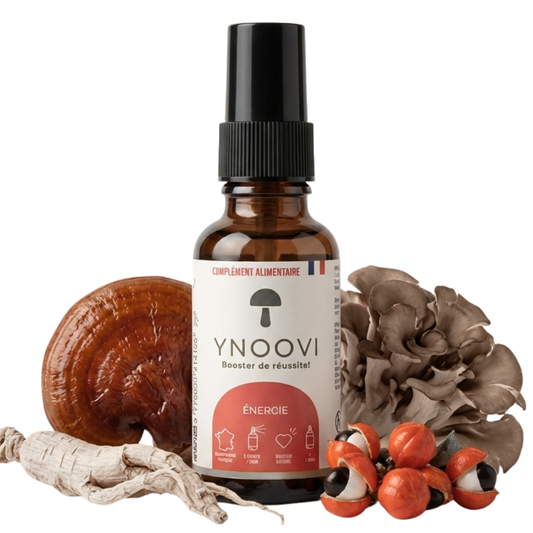 Spray Énergie Naturelle & Résilience - Reishi Maitake Bio - YNOOVI