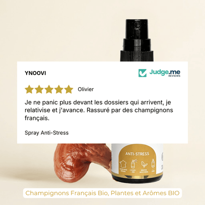 Pack Optimum — Bien-être Global Jour & Nuit | YNOOVI