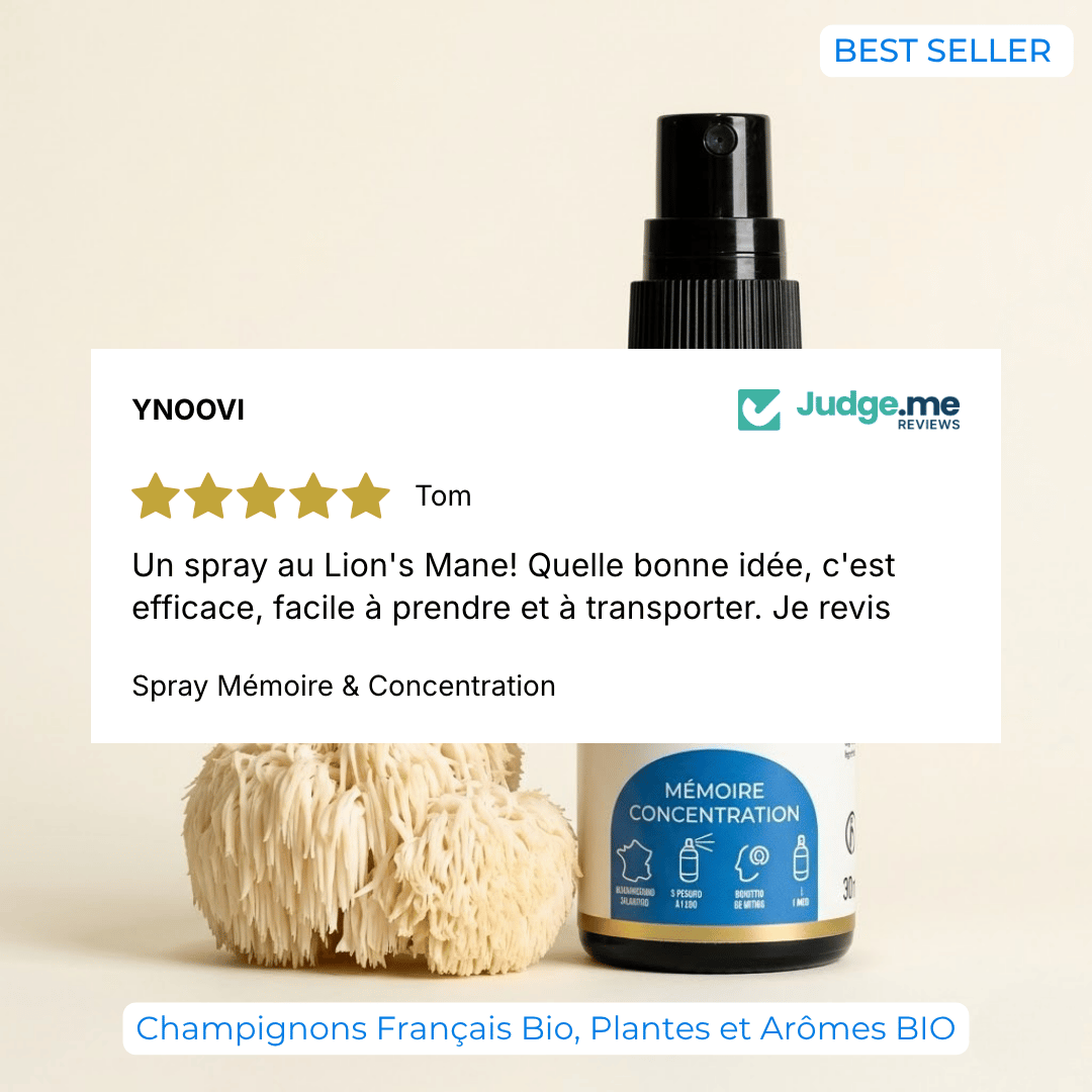 Spray Mémoire & Concentration — Champignons Adaptogènes BIO | YNOOVI