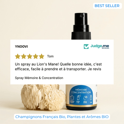 Spray Mémoire & Concentration — Champignons Adaptogènes BIO | YNOOVI