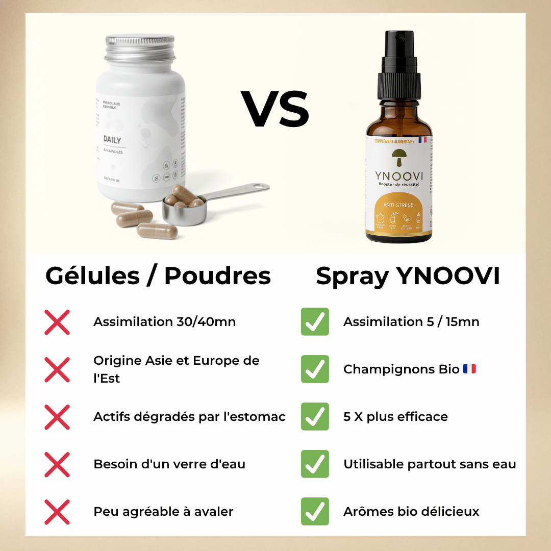 Pack Optimum — Bien-être Global Jour & Nuit | YNOOVI