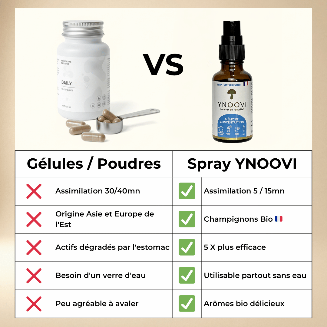 Spray Mémoire & Concentration — Champignons Adaptogènes BIO | YNOOVI