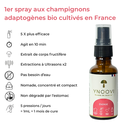 -10% | 2 Sprays Champignons BIO Français : Mémoire, Concentration, Énergie, Tonus