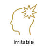 Icone 2