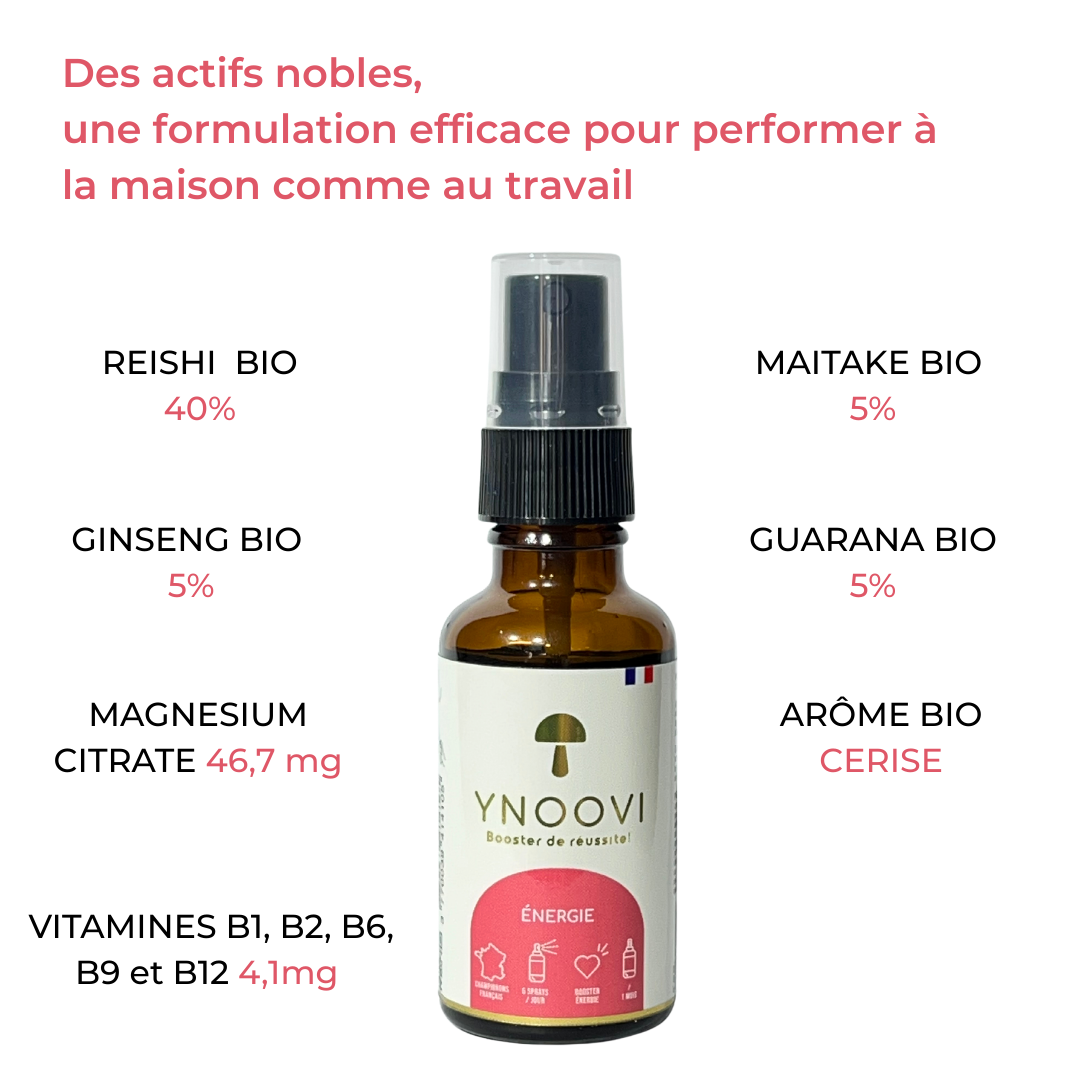 -10% | 2 Sprays Champignons BIO Français : Mémoire, Concentration, Énergie, Tonus