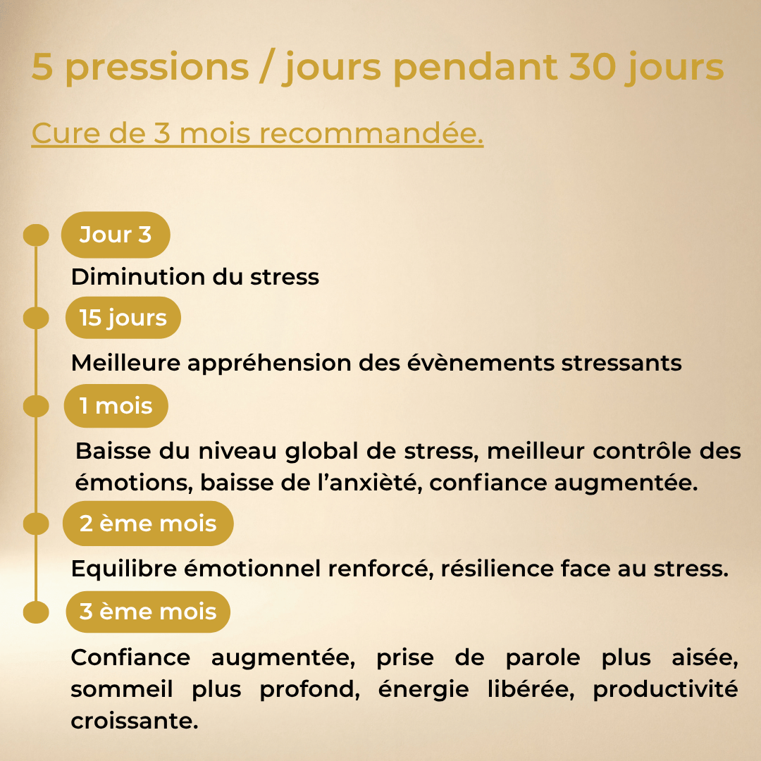 Pack Optimum — Bien-être Global Jour & Nuit | YNOOVI