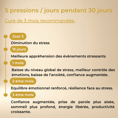 Pack Optimum — Bien-être Global Jour & Nuit | YNOOVI