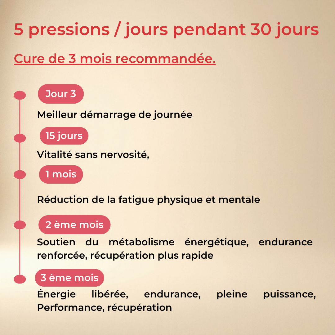 Spray Énergie & Endurance