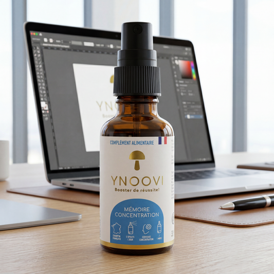 Spray Mémoire & Concentration : Champignons BIO Français | Focus & Clarté