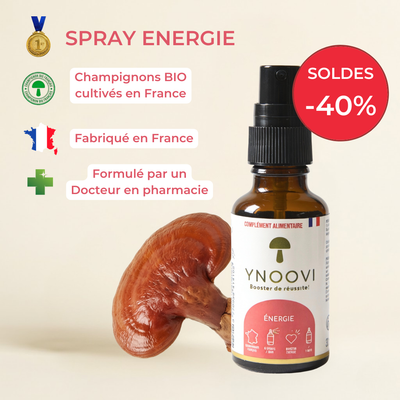 Spray Énergie & Endurance — Champignons Adaptogènes BIO | YNOOVI