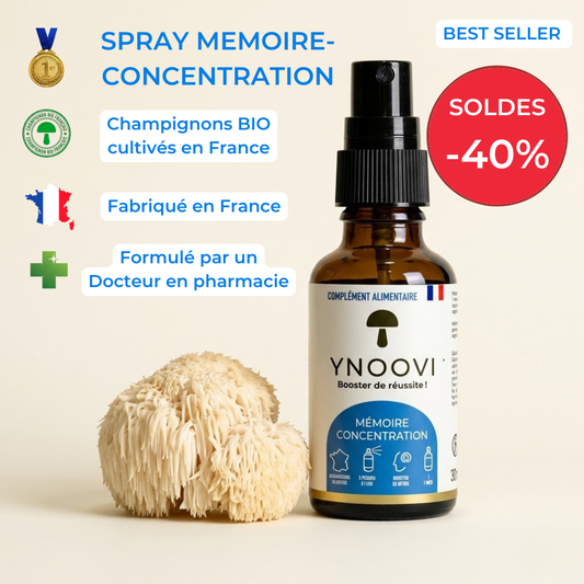 Spray Mémoire & Concentration | Lion's Mane BIO Sublingual — YNOOVI