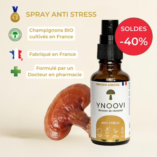 Spray Sérénité & Équilibre — Champignons Adaptogènes BIO | YNOOVI