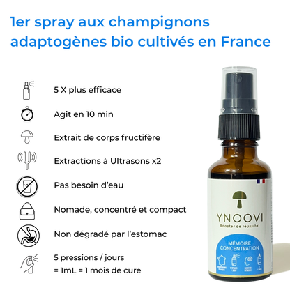 -10% | 2 Sprays Champignons BIO Français : Mémoire, Concentration, Énergie, Tonus