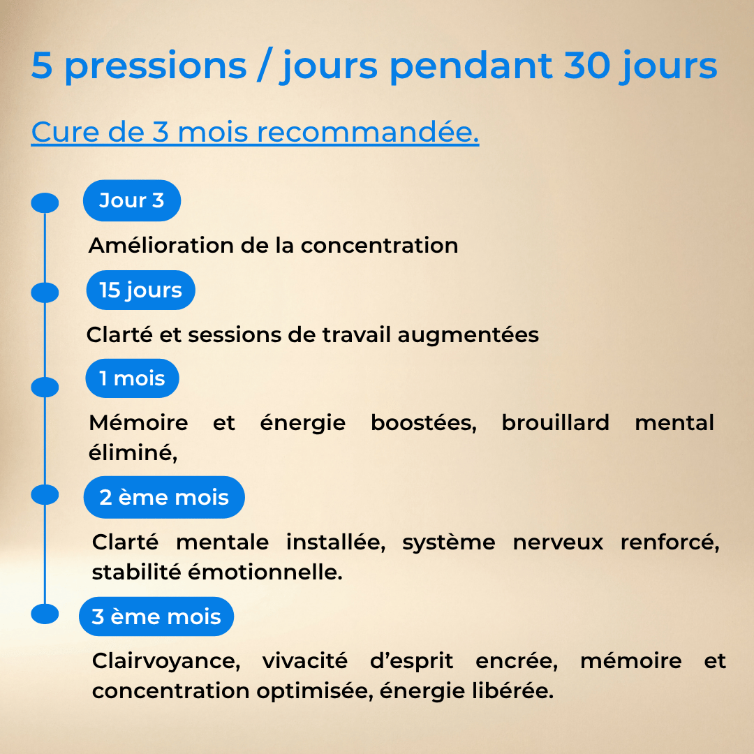 Spray Mémoire & Concentration — Champignons Adaptogènes BIO | YNOOVI