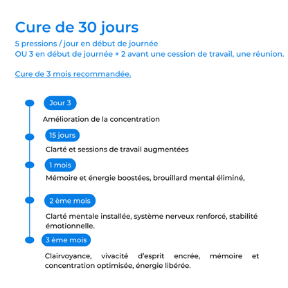 -10% | 2 Sprays Champignons BIO Français : Mémoire, Concentration, Énergie, Tonus