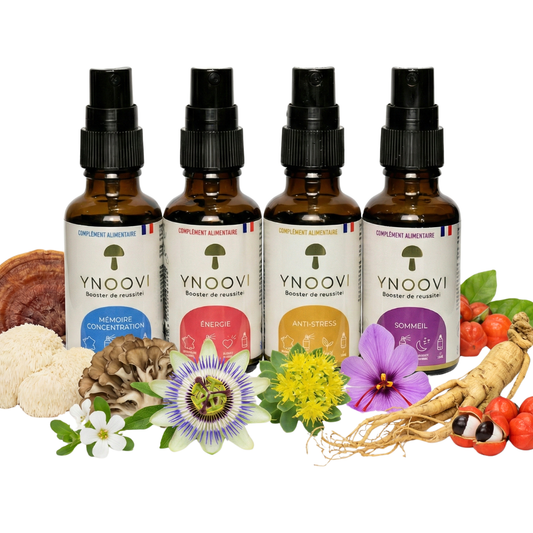 Cure Champignons Adaptogènes Bio - Pack 4 Sprays (Sommeil, Énergie, Focus) - YNOOVI
