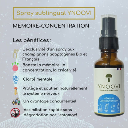 PACK MASTERMIND = Mémoire, Concentration + Energie / Complément YNOOVI