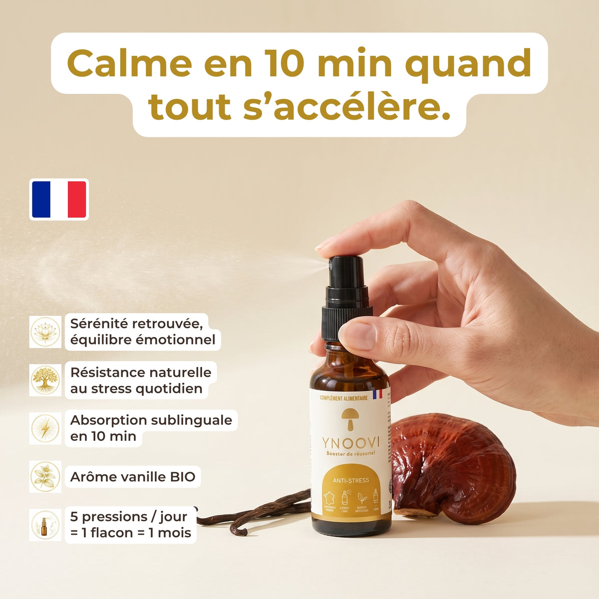Bienfaits du spray Anti-stress YNOOVI : sérénité, équilibre émotionnel, résistance au stress, champignons adaptogènes