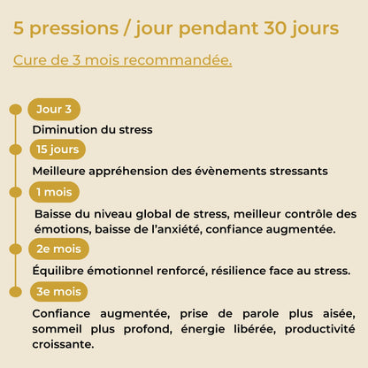 Cure de 3 mois du spray Anti-stress YNOOVI : résultats à jour 3, 15 jours, 1 mois, 2e et 3e mois