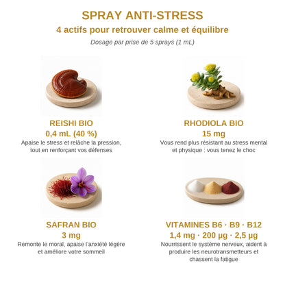 Actifs et dosage du spray Antistress YNOOVI : Reishi bio, Rhodiola bio, Safran bio, vitamines B6, B9, B12