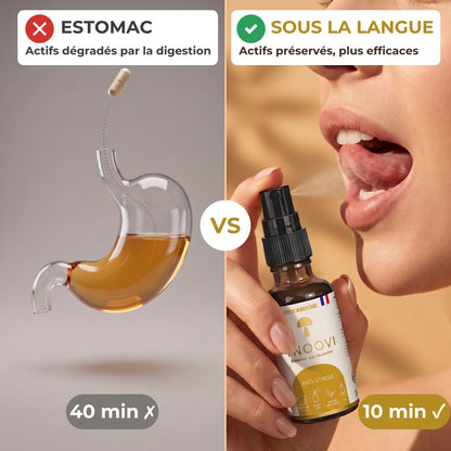 Spray sous la langue vs gélules : actifs préservés de la digestion avec le spray YNOOVI Anti-stress