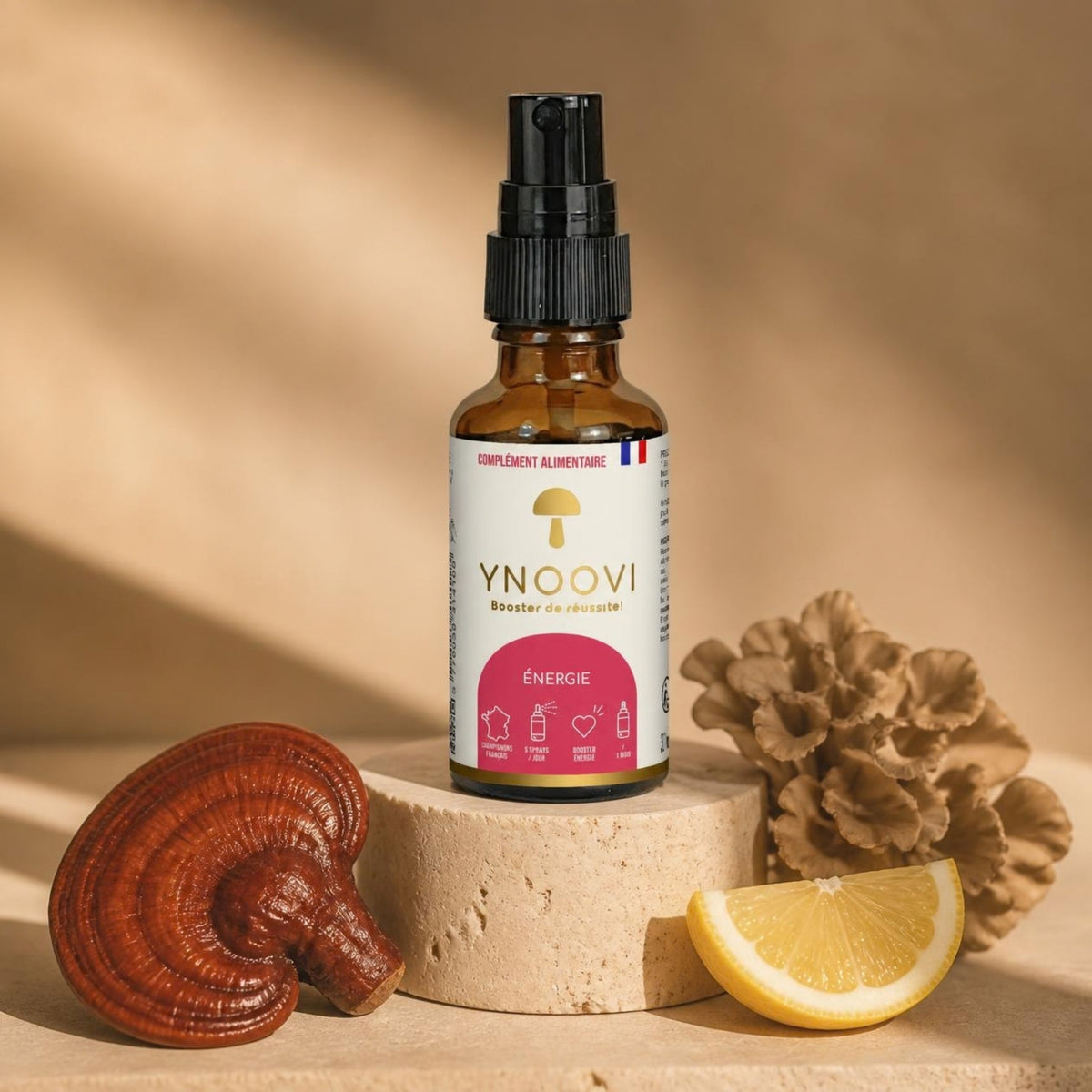 Spray Énergie & Endurance YNOOVI au Reishi bio, Maïtake, ginseng, guarana et citron, complément alimentaire sublingual