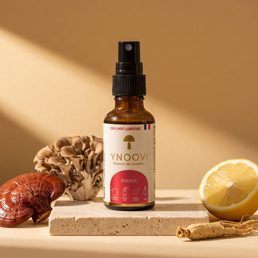 Spray Énergie & Endurance YNOOVI au Reishi bio, Maïtake, ginseng et citron, complément alimentaire sublingual fabriqué en France