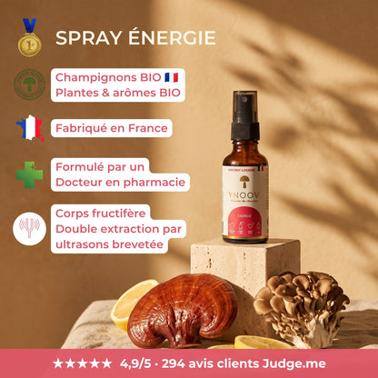 Complément alimentaire bio français YNOOVI Énergie : champignons bio cultivés en France, formulé par un docteur en pharmacie