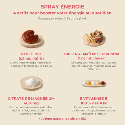 Actifs et dosage du spray Énergie YNOOVI : Reishi bio, ginseng, maïtake, guarana, citrate de magnésium, vitamines B