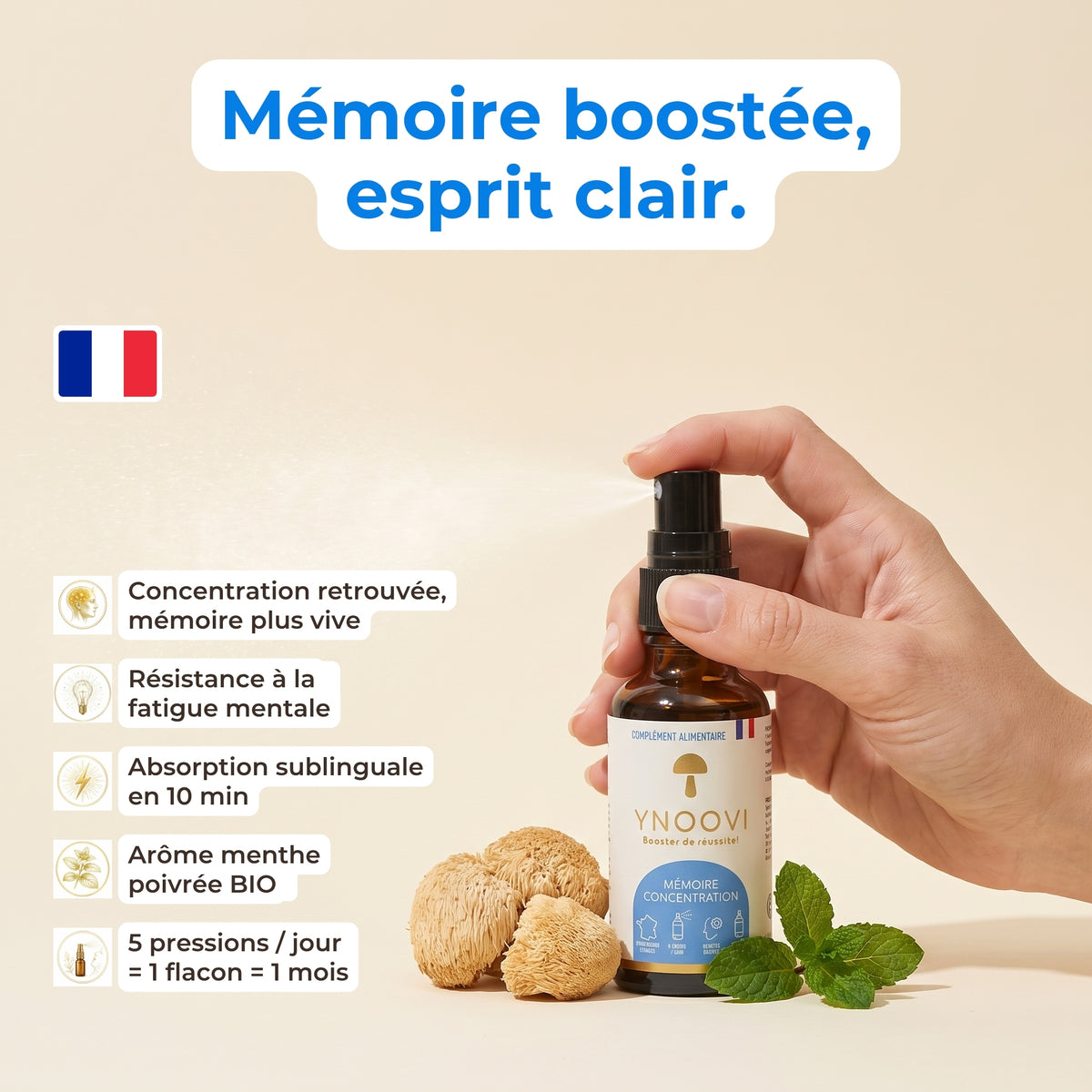 Bienfaits du spray Mémoire & Concentration YNOOVI : concentration retrouvée, mémoire plus vive, champignons adaptogènes bio