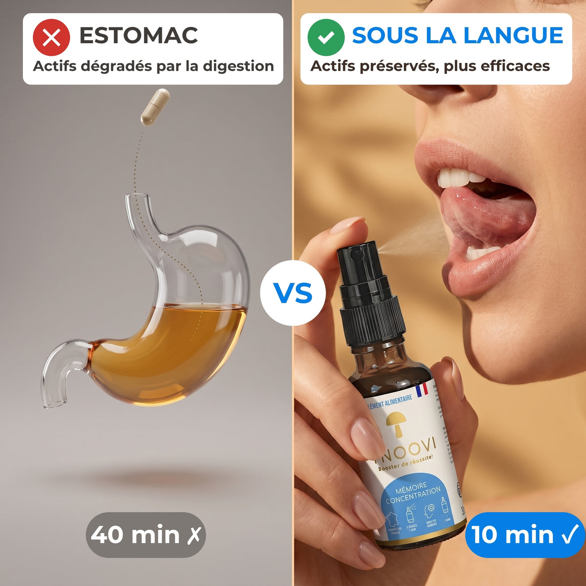 Spray sous la langue vs gélules : actifs du Lion's Mane préservés de la digestion avec le spray YNOOVI Mémoire