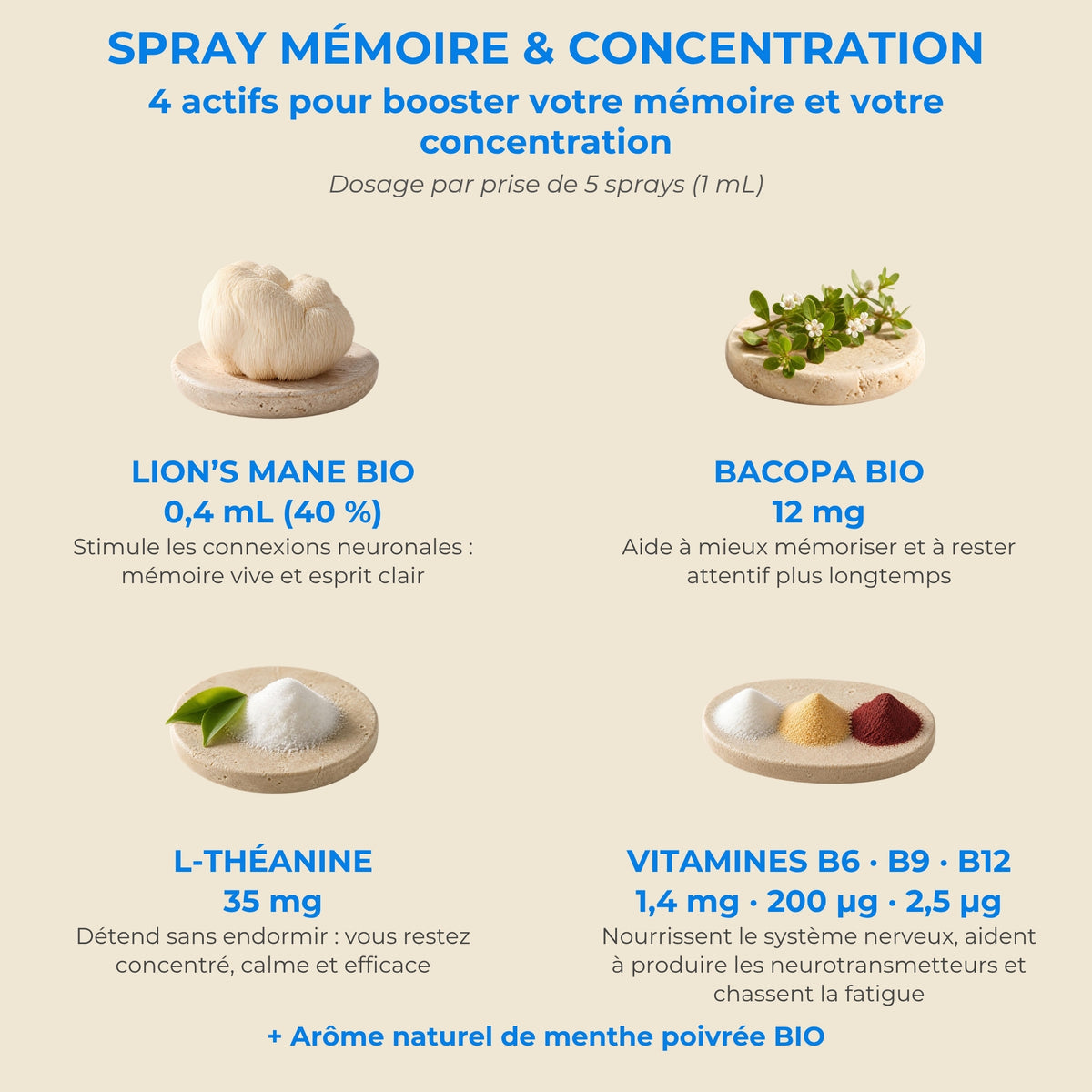 Actifs et dosage du spray Mémoire YNOOVI : Lion's Mane bio, Bacopa bio, L-théanine, vitamines B6, B9, B12