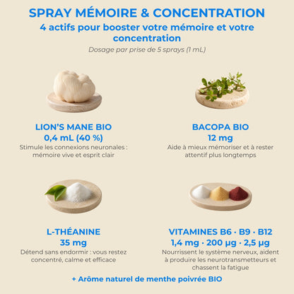 Actifs et dosage du spray Mémoire YNOOVI : Lion's Mane bio, Bacopa bio, L-théanine, vitamines B6, B9, B12