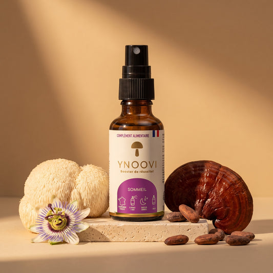 Spray Sommeil Rapide YNOOVI au Reishi bio, Lion's Mane, passiflore et cacao, complément alimentaire sublingual fabriqué en France